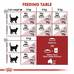 ROYAL CANIN FIT granule pro aktivní kočky 10 kg + 2 kg zdarma
