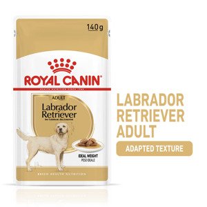 ROYAL CANIN Labrador Retriever Adult kousky v omáčce pro psy 10 × 140 g