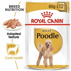ROYAL CANIN Poodle Adult v omáčce kapsička pro pudly 12× 85 g