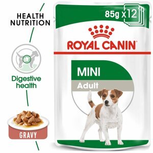 ROYAL CANIN MINI ADULT kapsička pro dospělé malé psy 24 × 85 g
