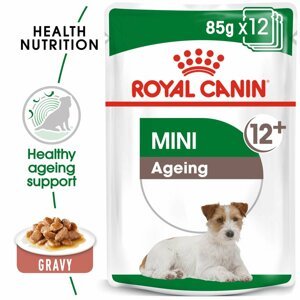ROYAL CANIN MINI AGEING 12+ mokré krmivo pro starší malé psy 12 × 85 g