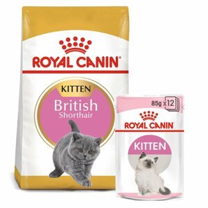 ROYAL CANIN KITTEN British Shorthair 2 kg + Kitten v omáčce 12× 85 g