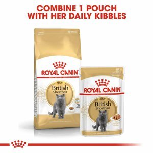 ROYAL CANIN ADULT British Shorthair 10 kg + kapsičky v omáčce 12× 85 g