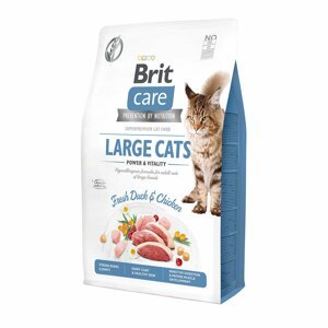 Brit Care GF Large Cats Power & Vitality 2 kg