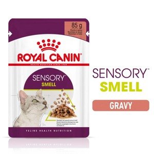 Royal Canin Sensory Smell Gravy 48 × 85 g