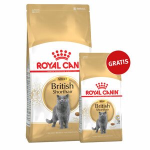 Royal Canin krmivo pro britské krátkosrsté kočky, 10 kg + 2 kg zdarma