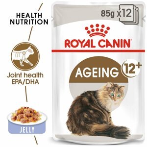 ROYAL CANIN AGEING 12+ pro kočky 48 × 85 g