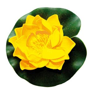 Velda Lotus Foam lotosový květ žlutý 10cm